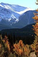 rotsachtige bergen in de herfst foto