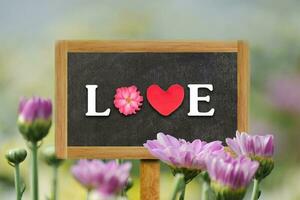 woord liefde geschreven op een houten bord met zachte wazige chrysantenbloem op de achtergrond. foto
