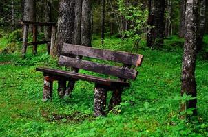 houten bankje in het bos foto