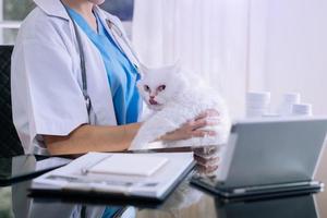 arts dierenarts met een driekleurige kat op armen. medische uitrusting foto