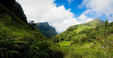 sfeer langs de weg in het natuurreservaat van Chiang Dao foto