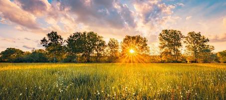 prachtige panoramische zomerzonsondergang met wilde grasweide in zonlicht, zonnestralen. rustig landelijk panorama, natuurlandschapsveld op het platteland. pastel helder bloemen bosveld, kleurrijke luchtwolken foto