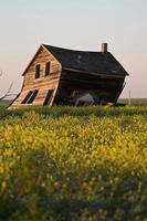 verweerde oude boerderij in het schilderachtige Saskatchewan foto