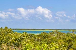 muyil lagune panorama-uitzicht in de tropische jungle van geweldig mexico. foto