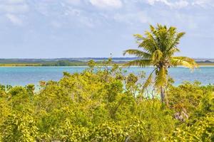 muyil lagune panorama-uitzicht in de tropische jungle van geweldig mexico. foto