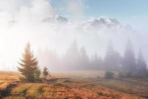 ochtendmist kruipt met kladjes over herfst bergbos bedekt met bladgoud. besneeuwde toppen van majestueuze bergen op de achtergrond foto