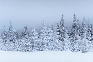 fantastisch winterlandschap. aan de vooravond van de vakantie. de dramatische scène. karpaten, oekraïne, europa. gelukkig nieuwjaar foto