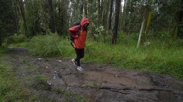 Spaanse vrouw met zwarte rugzak en rode waterdichte jas die overdag op een modderig pad door een bos loopt