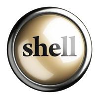 shell woord op geïsoleerde knop foto