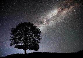 landschap met nachtelijke sterrenhemel en silhouet van boom op de heuvel. melkweg met eenzame boom, vallende sterren. foto