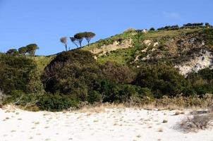 groene natuur met wit zand foto