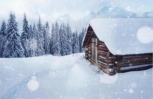 gezellige houten hut hoog in de besneeuwde bergen. grote pijnbomen op de achtergrond. verlaten kolyba herder. bewolkte dag. Karpaten, het sneeuwt. Oekraïne, Europa foto