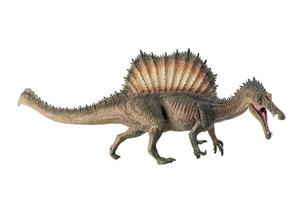 spinosaurus, dinosaurus op witte achtergrond. foto