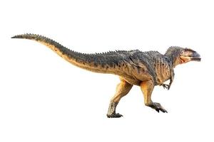 giganotosaurus, dinosaurus op witte achtergrond. foto