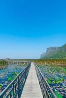 sam roi yot zoetwatermoeras of bueng bua khao sam roi yot nationaal park foto