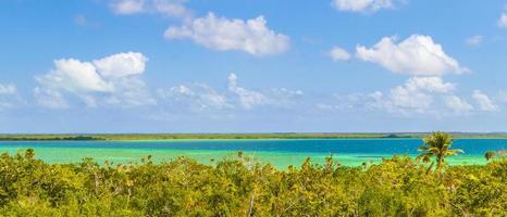 muyil lagune panorama-uitzicht in de tropische jungle van geweldig mexico. foto