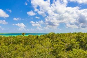 muyil lagune panorama-uitzicht in de tropische jungle van geweldig mexico. foto