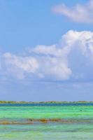 muyil lagune panorama uitzicht landschap natuur turquoise water mexico. foto