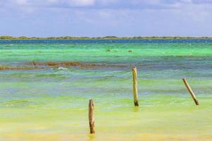 muyil lagune panorama uitzicht landschap natuur turquoise water mexico. foto