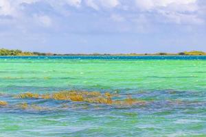 muyil lagune panorama uitzicht landschap natuur turquoise water mexico. foto
