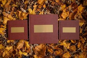 leer bruin boek met een gouden naambordje op een achtergrond van bruine bladeren. plaats voor tekst. trouwfotoboek. foto