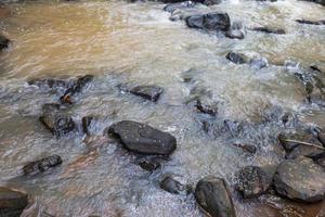 close-up groen bos waterval foto