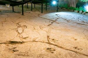 close-up van voetafdrukken van dinosaurussen in het natuurreservaat Sataplia. Georgië reist naar unieke plaatsen. foto