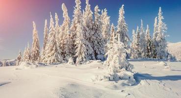 fantastisch winterlandschap in de bergen van oekraïne. in antiquiteit foto