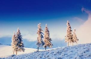 fantastisch winterlandschap in de bergen van oekraïne. in antiquiteit foto