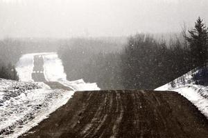 houtkap in de winter foto