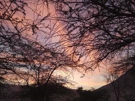 geweldige zonsondergang in Israël uitzicht op het heilige land foto