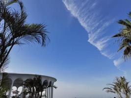 blauwe lucht, palmboom, wolk foto