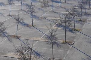 bomen op parkeerplaats foto