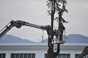 onherkenbare tuinman snoeit een boom foto