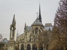 notre dame parijs foto