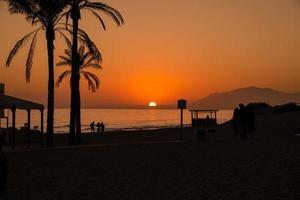 palmbomen silhouet bij zonsondergang op het strand. foto