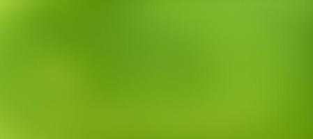 vervagen groen bokeh helder licht natuur groene achtergrond foto