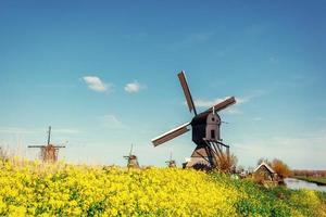 oude hollandse windmolens ontspringen uit het kanaal in rotterdam. Holland. foto