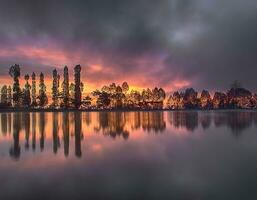 perfecte natuur reflectie landschap op prachtige bomen met kleurrijke lucht bij zonsopgang. foto