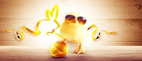 grappige schattige baby chick met zonnebril en ei. foto