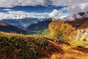 herfstlandschap en besneeuwde bergtoppen. foto