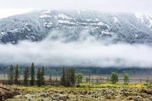 platteland van nationaal park Yellowstone foto