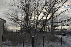 landelijke gebouwen bedekt met sneeuw in de winter foto