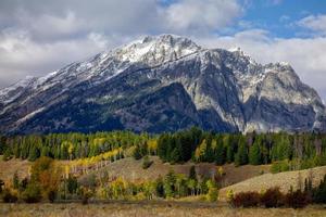 herfstkleuren in wyoming foto