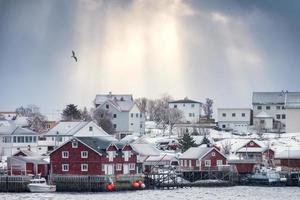 gouden zonlicht over scandinavisch dorp met vliegende vogels foto