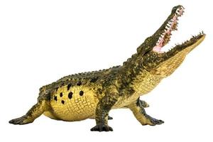 krokodil op geïsoleerde achtergrond foto
