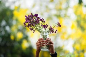 handen en paarse bloemen. foto