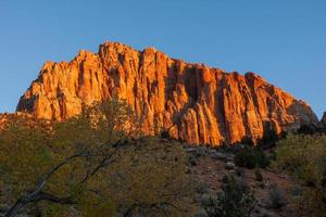 gloeiende rotswand bij zonsondergang in het nationale park van Zion foto