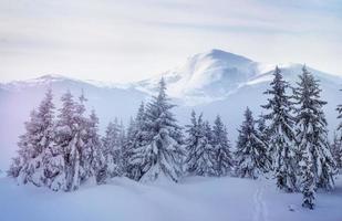 mysterieus winterlandschap majestueuze bergen foto