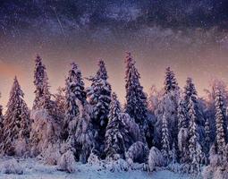 Dairy Star Trek in de winter bossen. foto